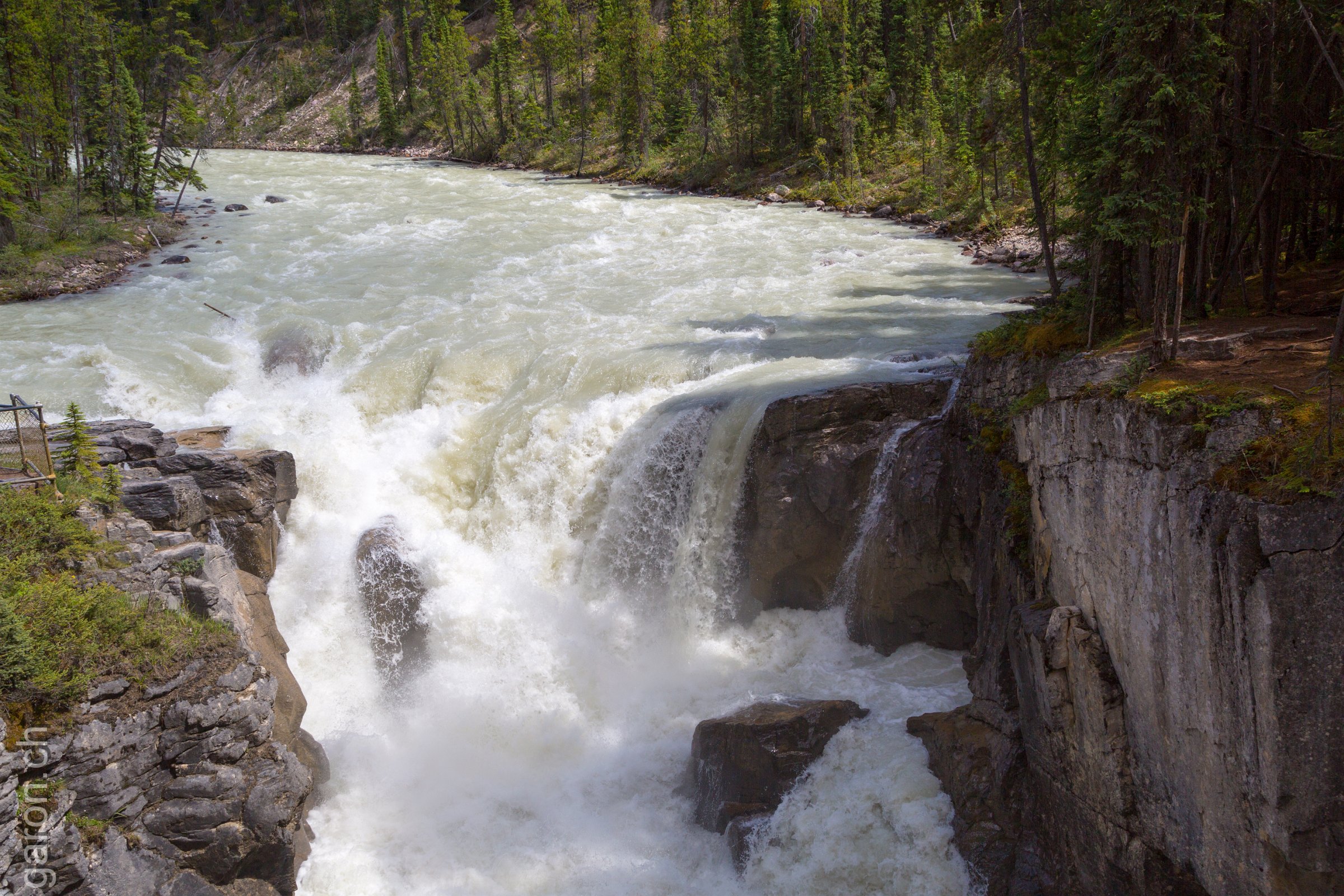 Sunwapta Falls 