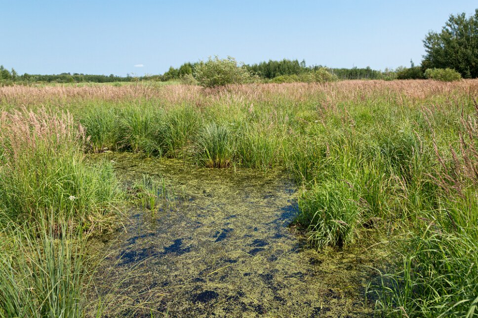 Edmonton Elk Island National Park