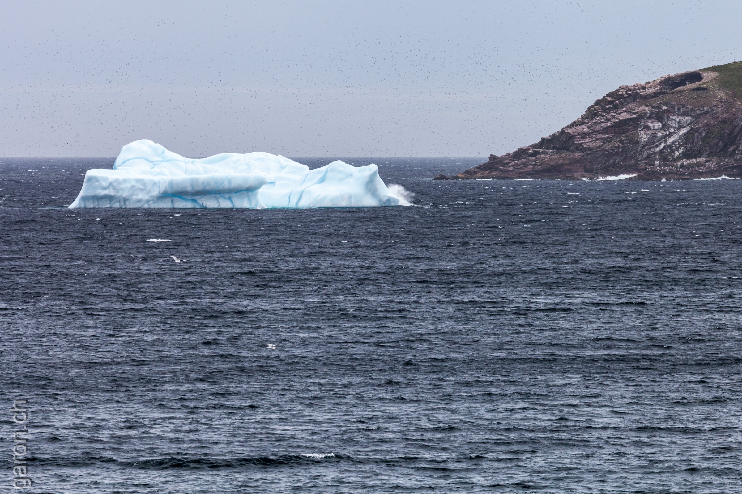 Newfoundland, Mobile Bay Floating iceberg