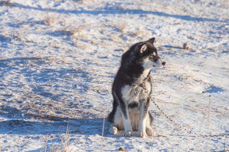 Churchill, surrondings