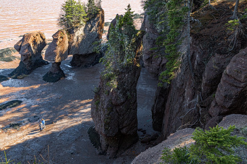 Hopewell Rocks