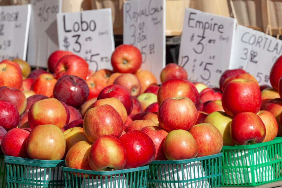 Ontario, Ottawa Byward Market Place, apples