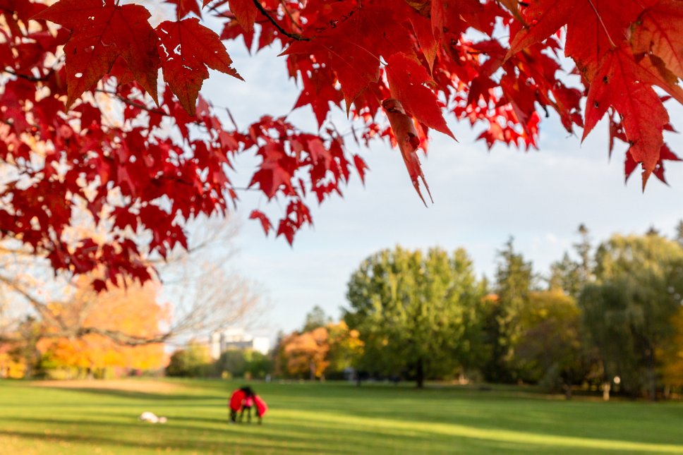Ontario, Ottawa, autumn colors