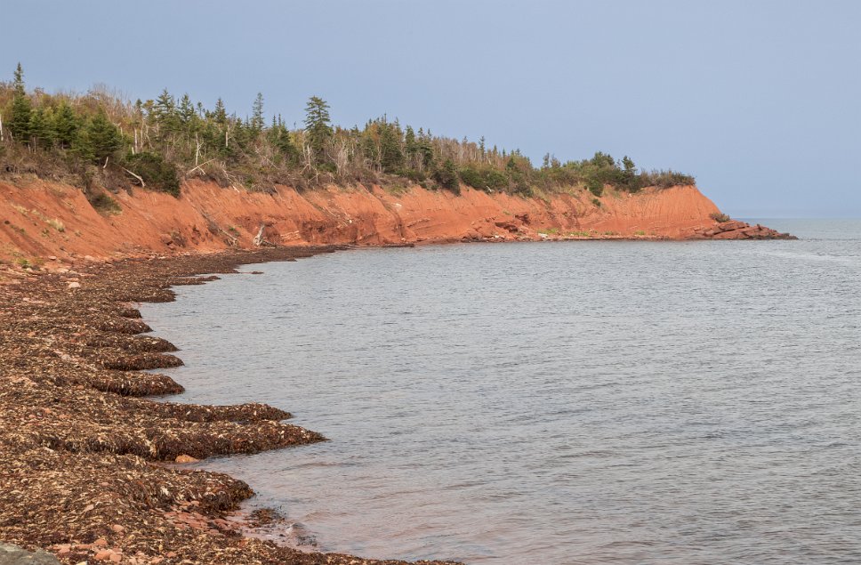 Murray Head