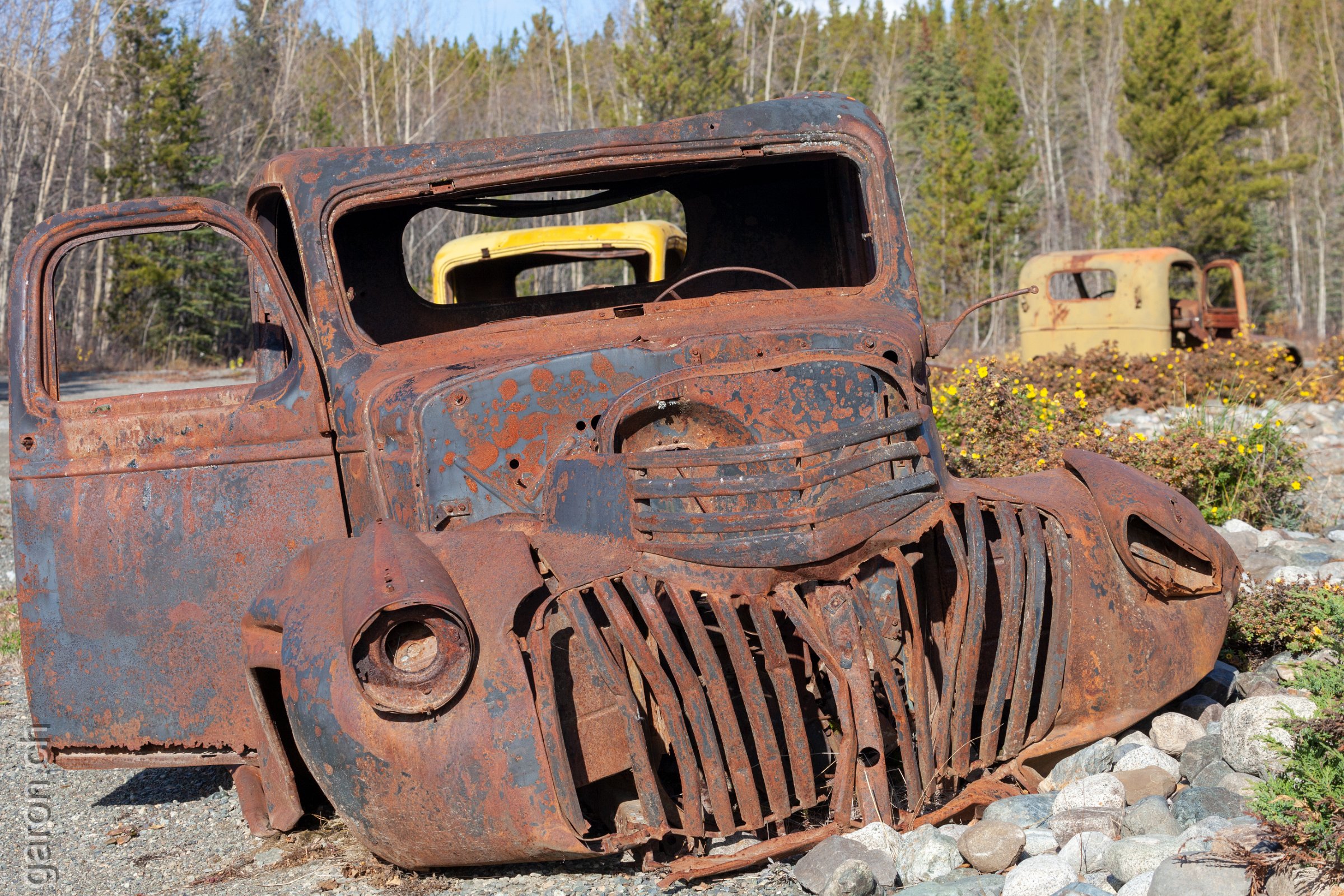 Yukon, Alaska Highway, Johnsons Crossing, oldtimer car wreckages 