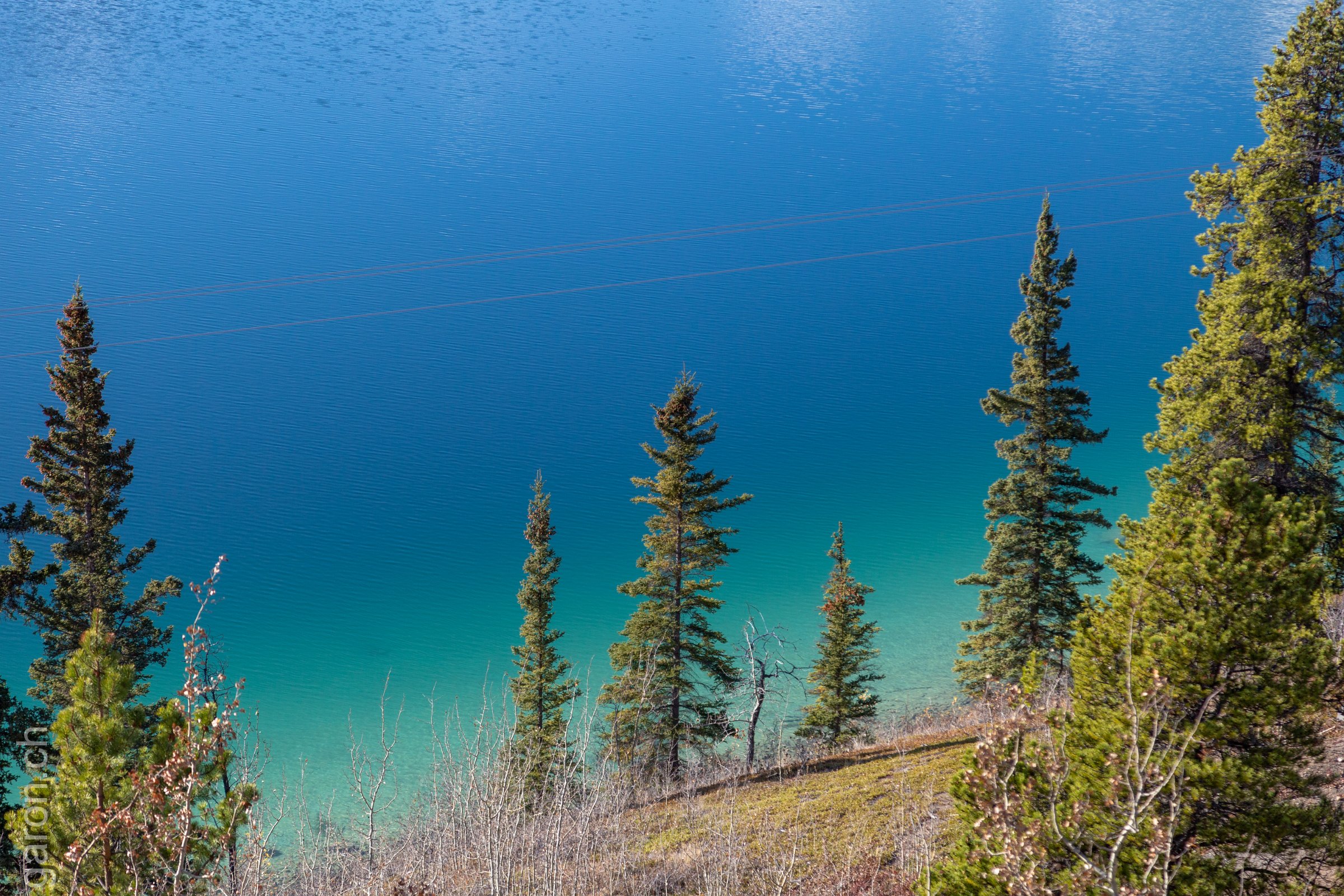 Yukon, Carcross, Emerald Lake with its intense green color 