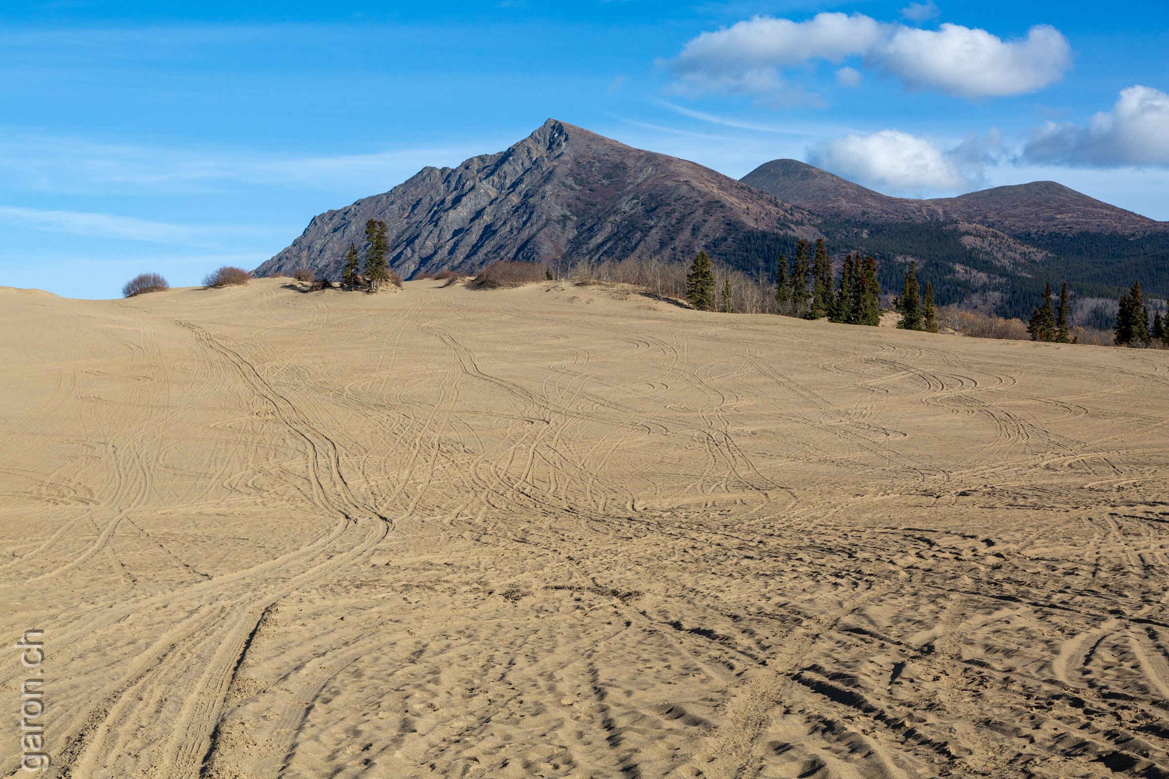 Yukon, Caribou Mountain at Carcross Desert 