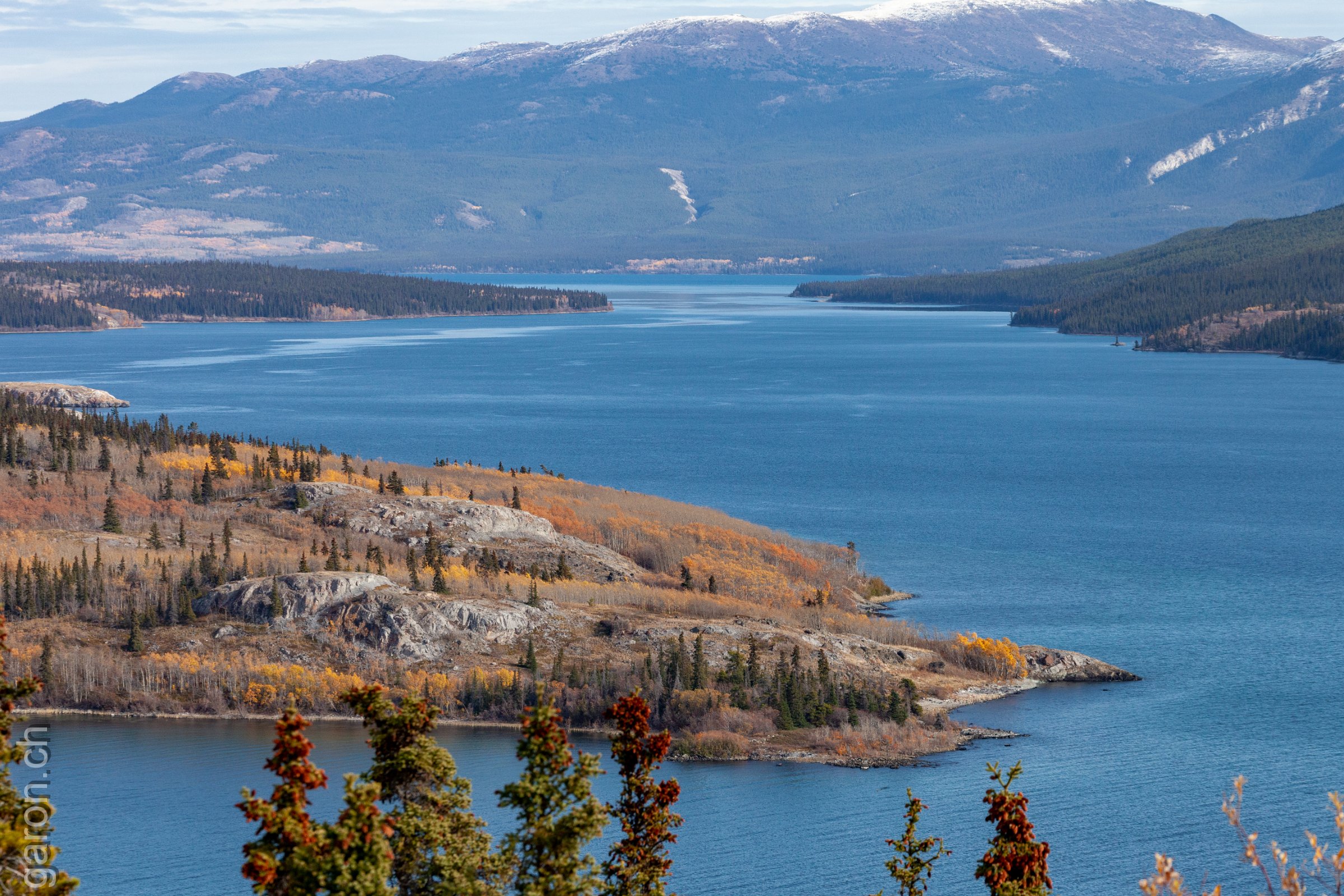 Yukon, along Klondike Highway Tagish lake and the Bove Island