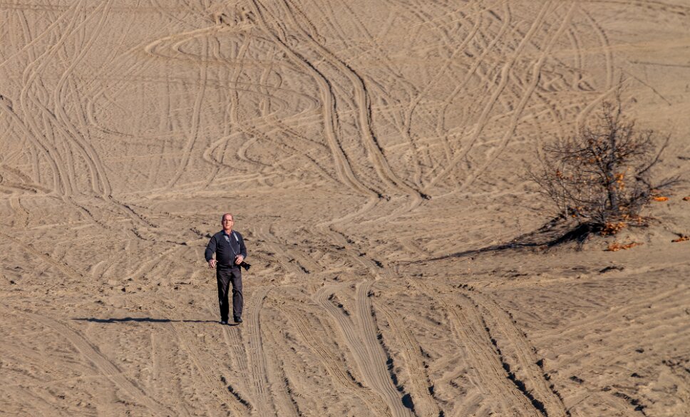 Carcross Desert