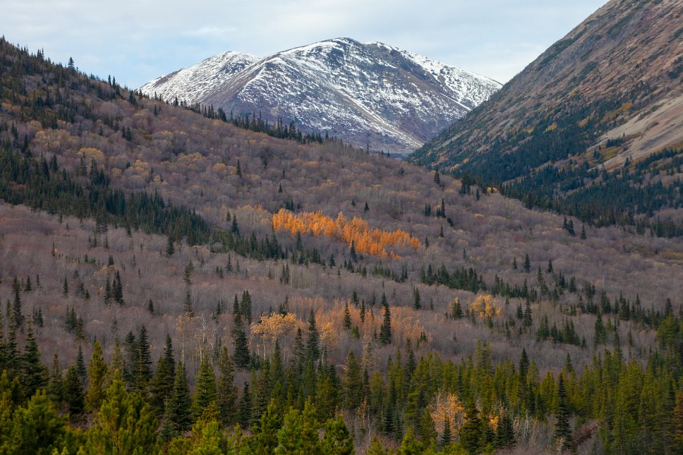 Yukon, along Klondike Highway