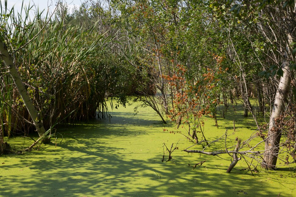 Edmonton Elk Island National Park