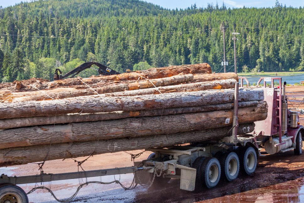Beaver Cove, wood industry