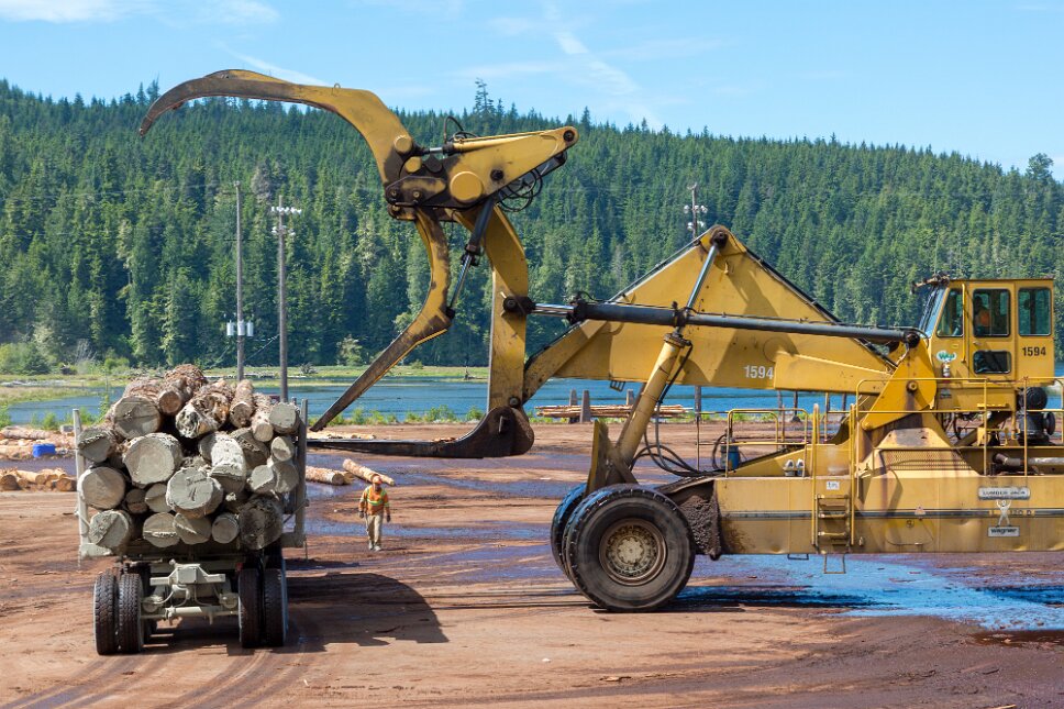 Beaver Cove, wood industry