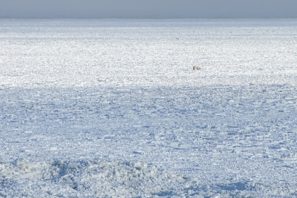 Churchill, Hudson Bay