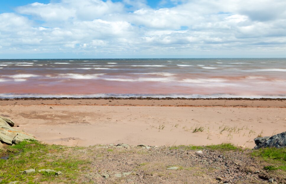 Acadian Coastal Drive