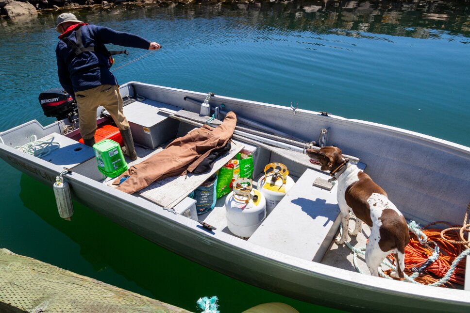 Grand Manan Island, Seal Cove