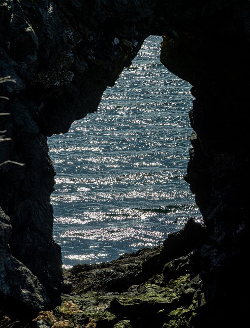 Grand Manan Island, Fish Head