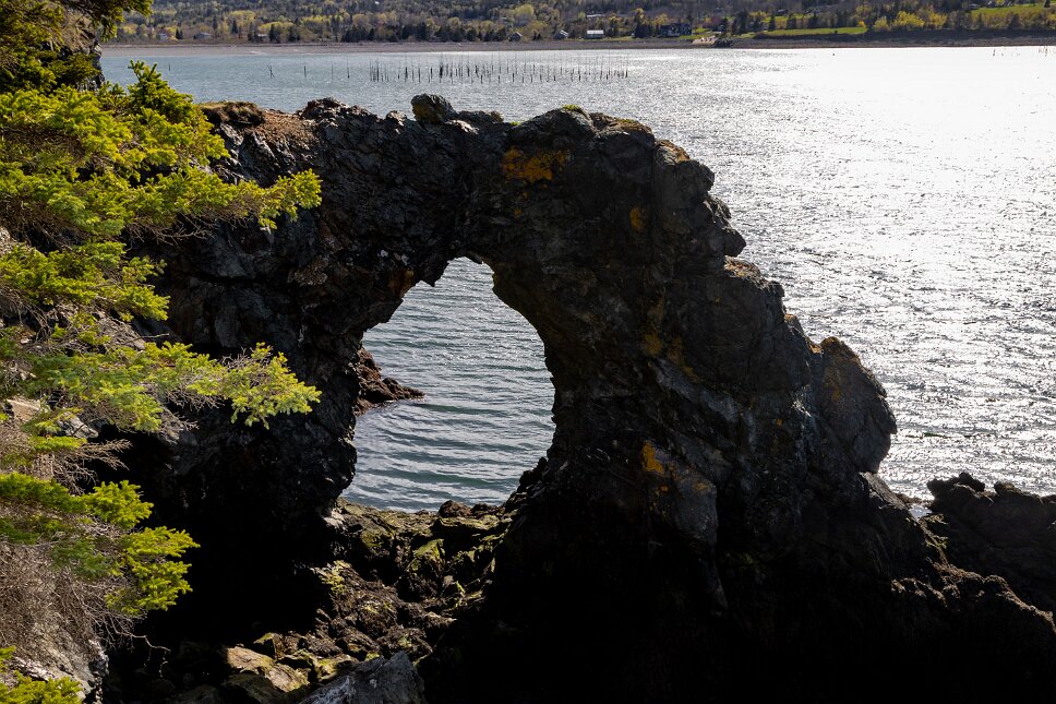 Grand Manan Island, Fish Head