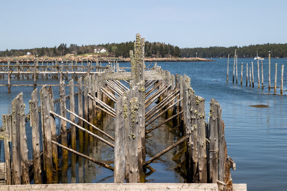Back Bay, Lobster shipping