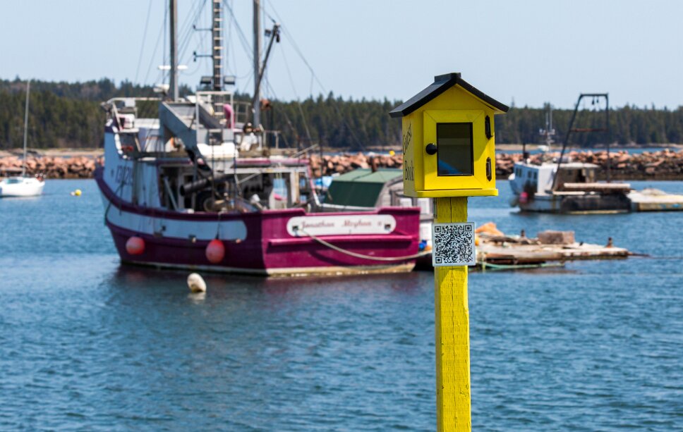 Back Bay, Kinsbur Park