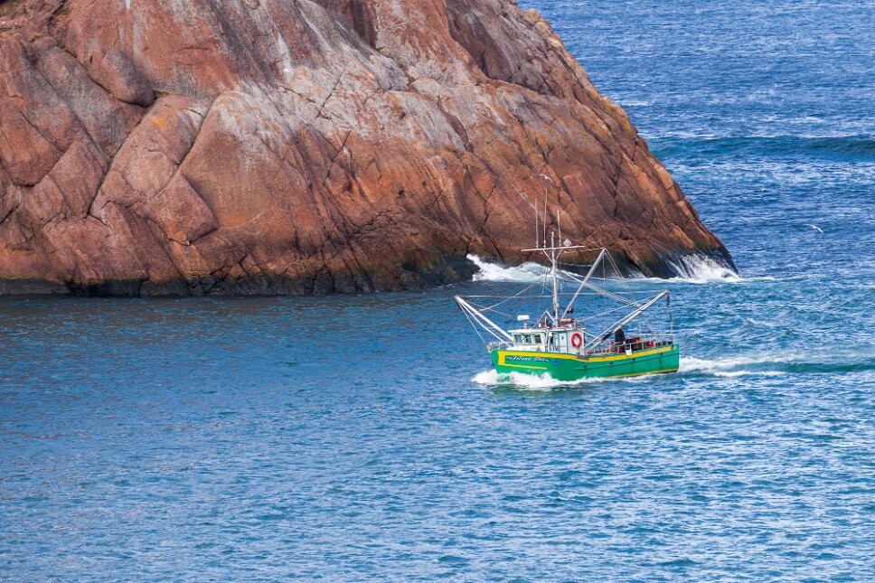 St John's, The Narrows