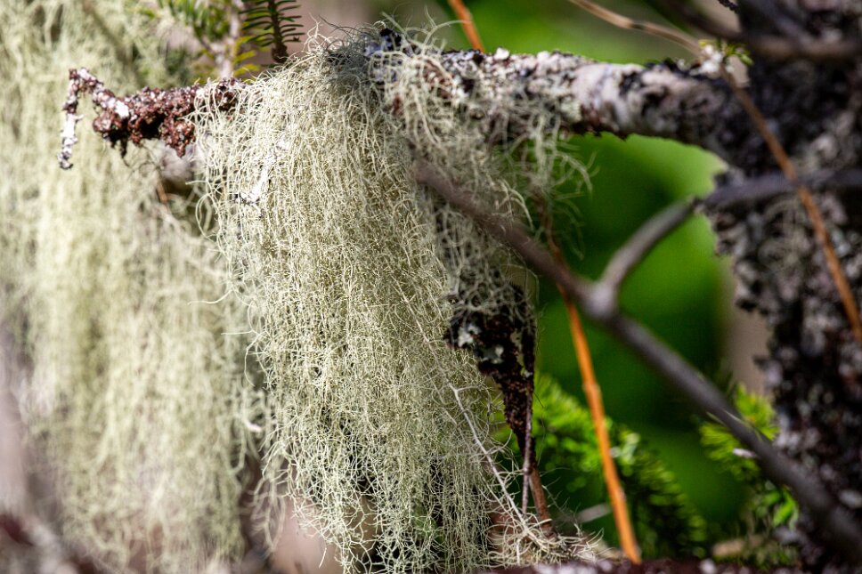 Balancing Rock Trail