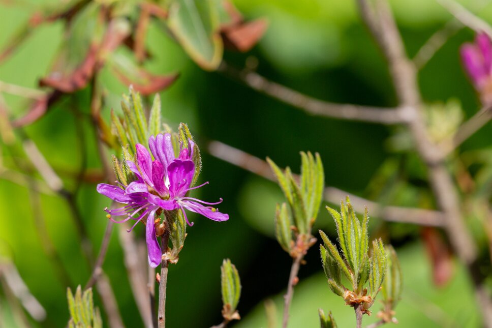 Balancing Rock Trail