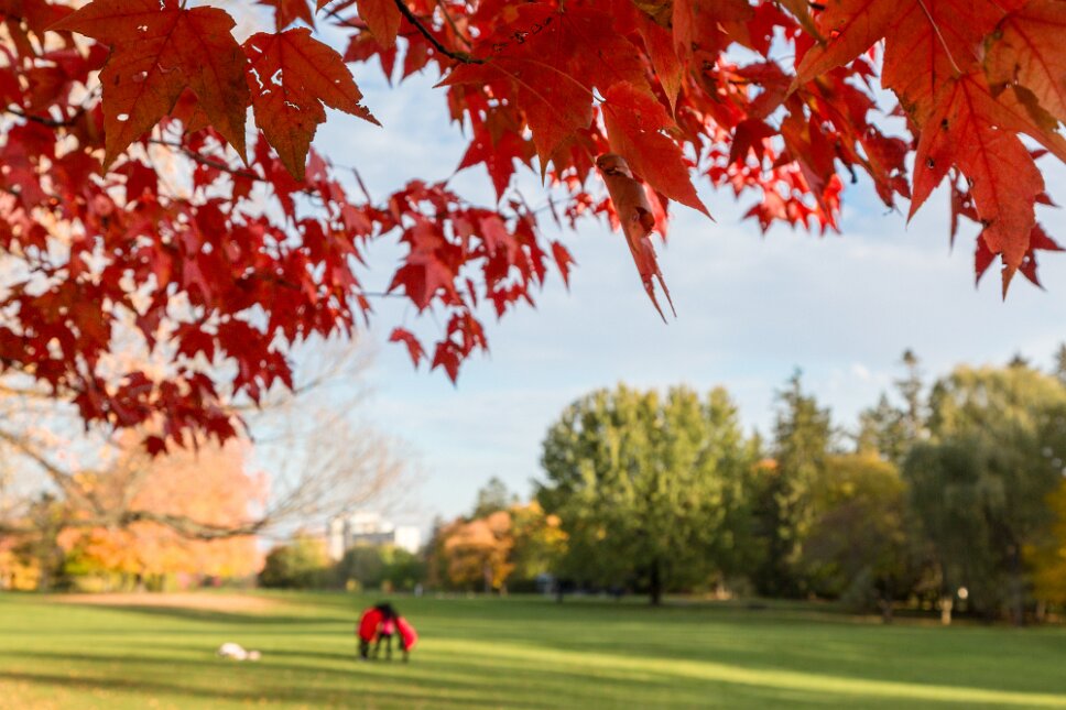 Ottawa, autumn colors