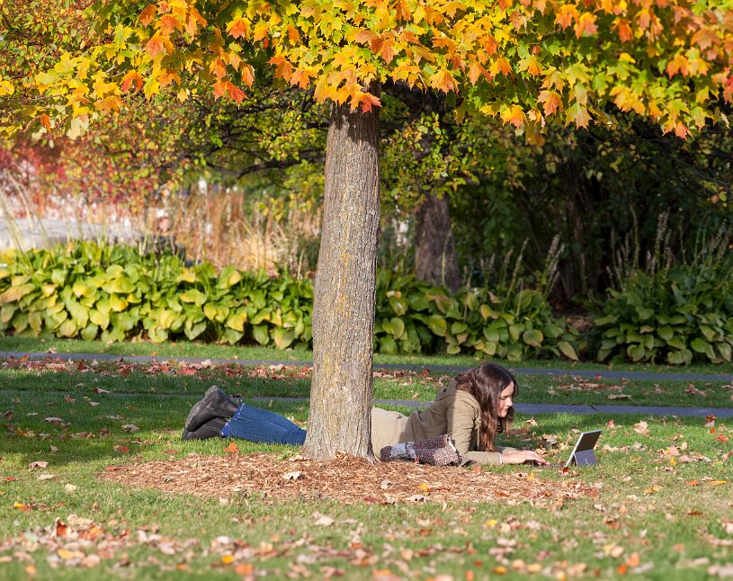 Ottawa, Major's Hill Park