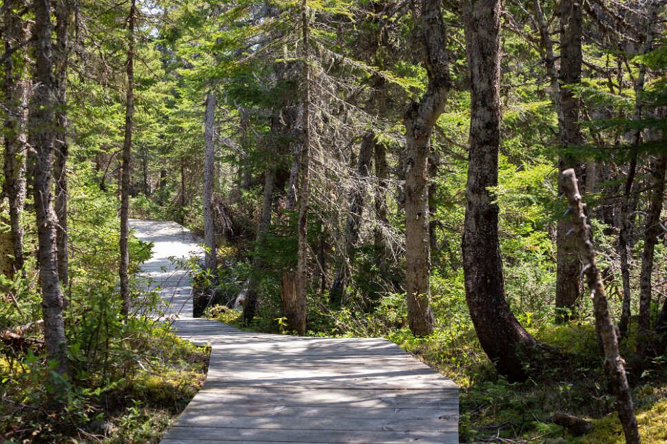 Archipel-de-Mingan, Île Quarry