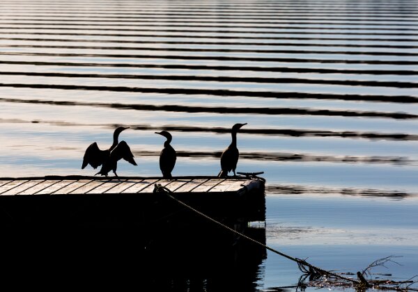 New Brunswick New Brunswick