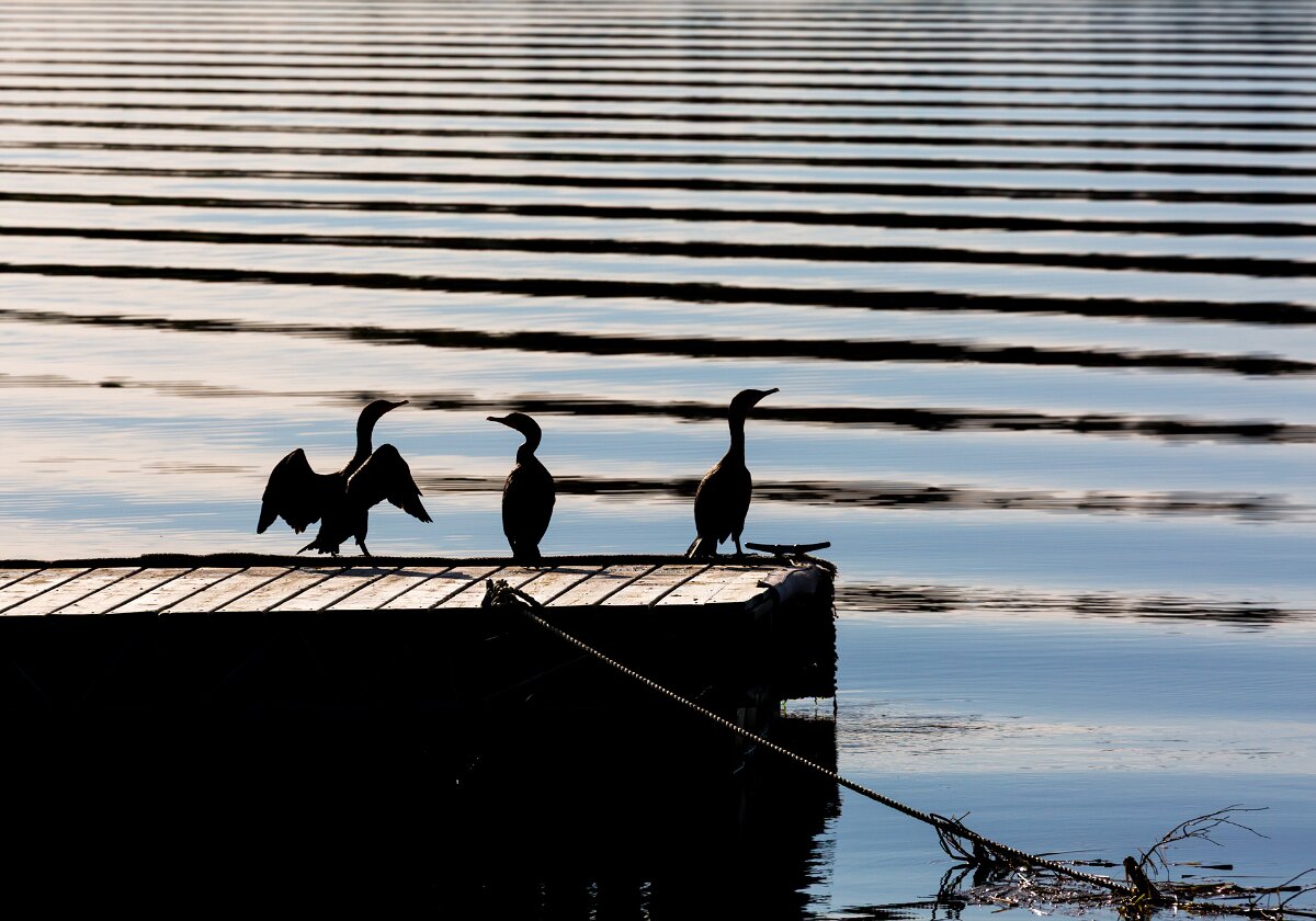 New Brunswick New Brunswick