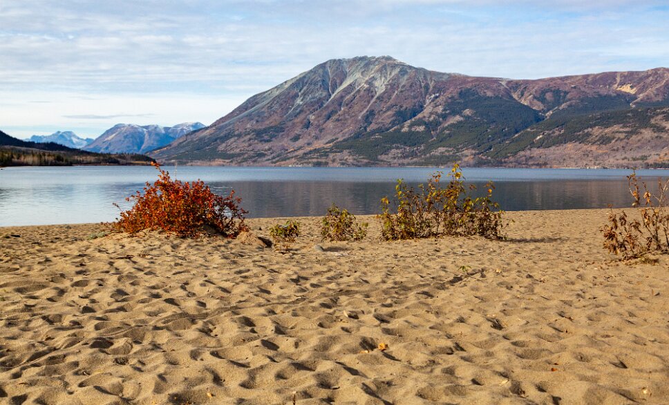 Carcross, beach of Bennett Lake