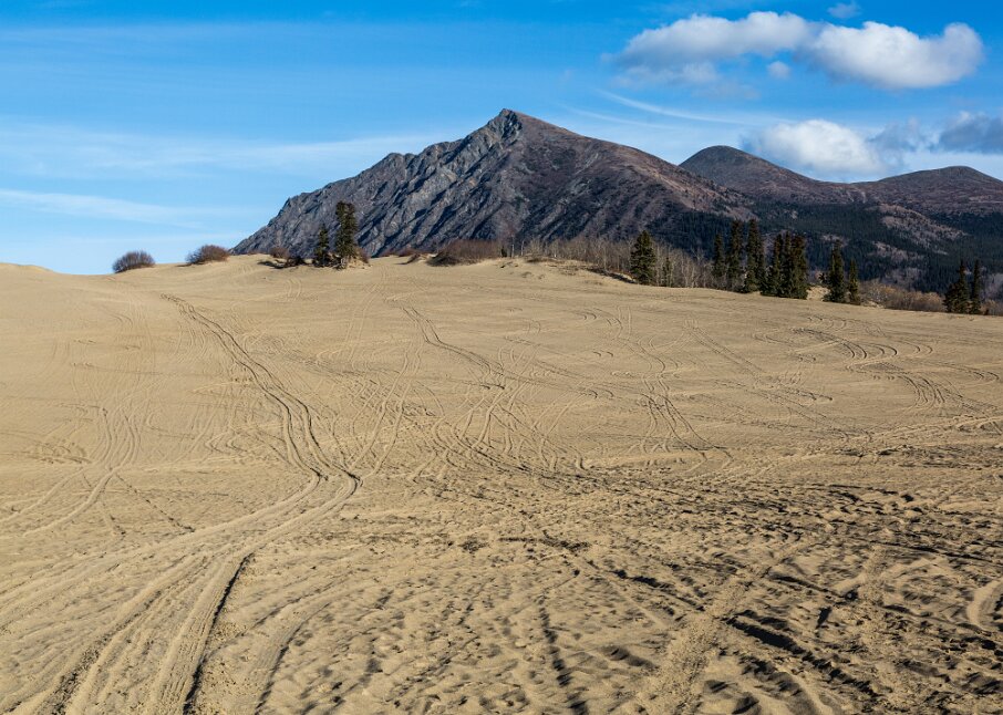 Carcross Desert and Caribou Mountain
