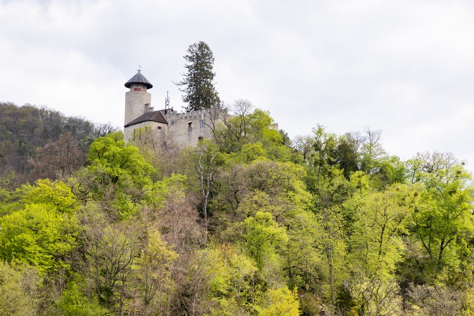 Arlesheim, Schloss Birseck