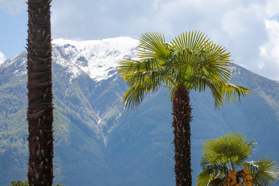 Ascona