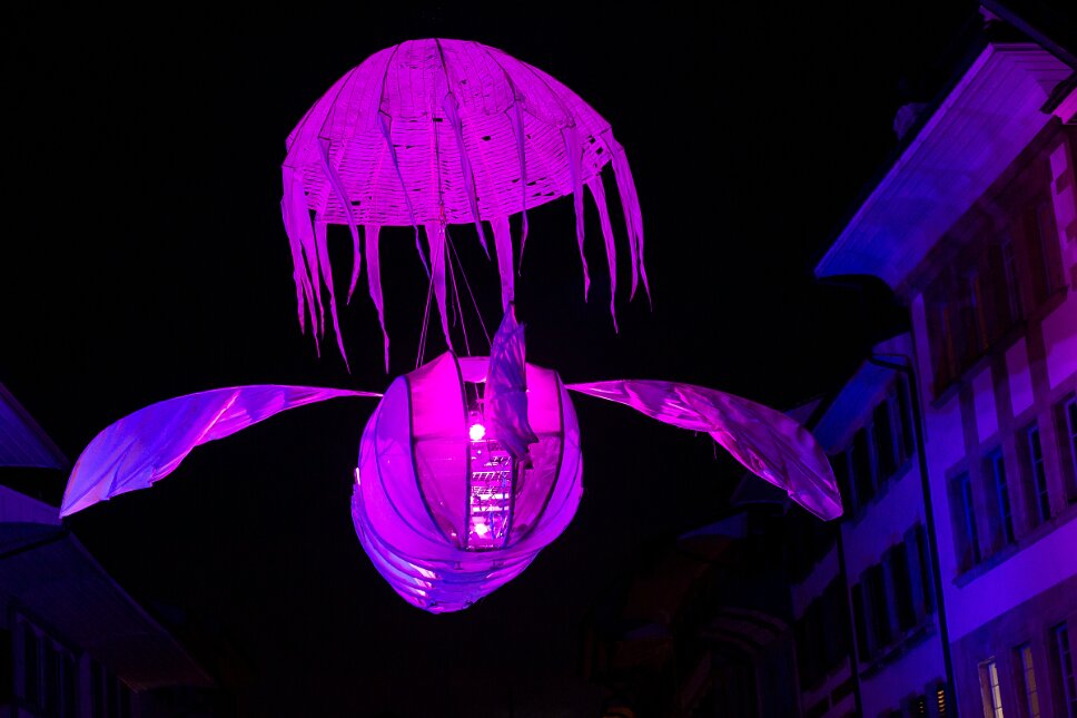 Lichtfestival Traumland