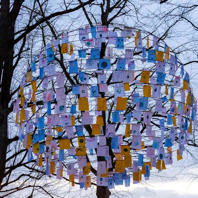 Lichtfestival: Chère Terre