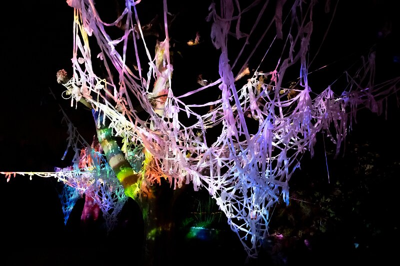 Lichtfestival: Interactive Networking