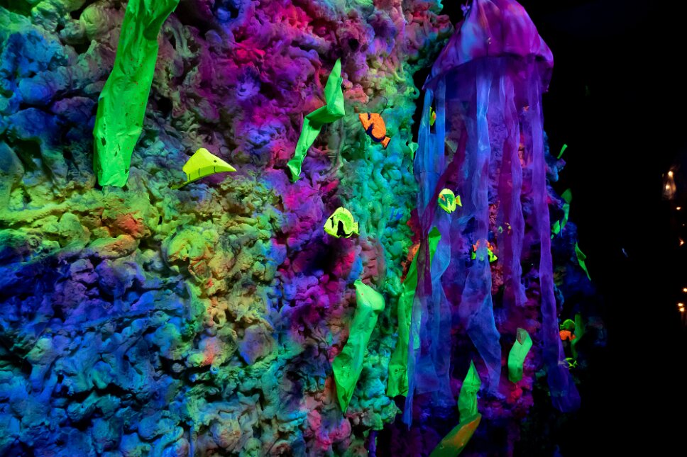 Lichtfestival: 'Sous l'océan'