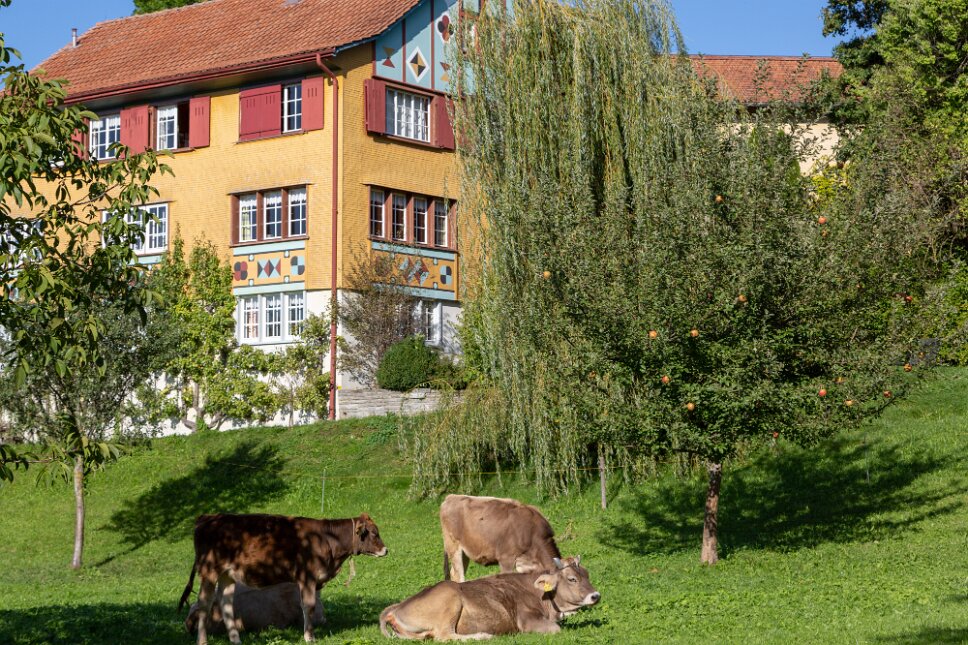 Appenzell, Stadt