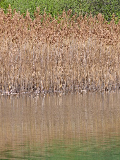 Arlesheim, Landschaftsgarten Ermitage