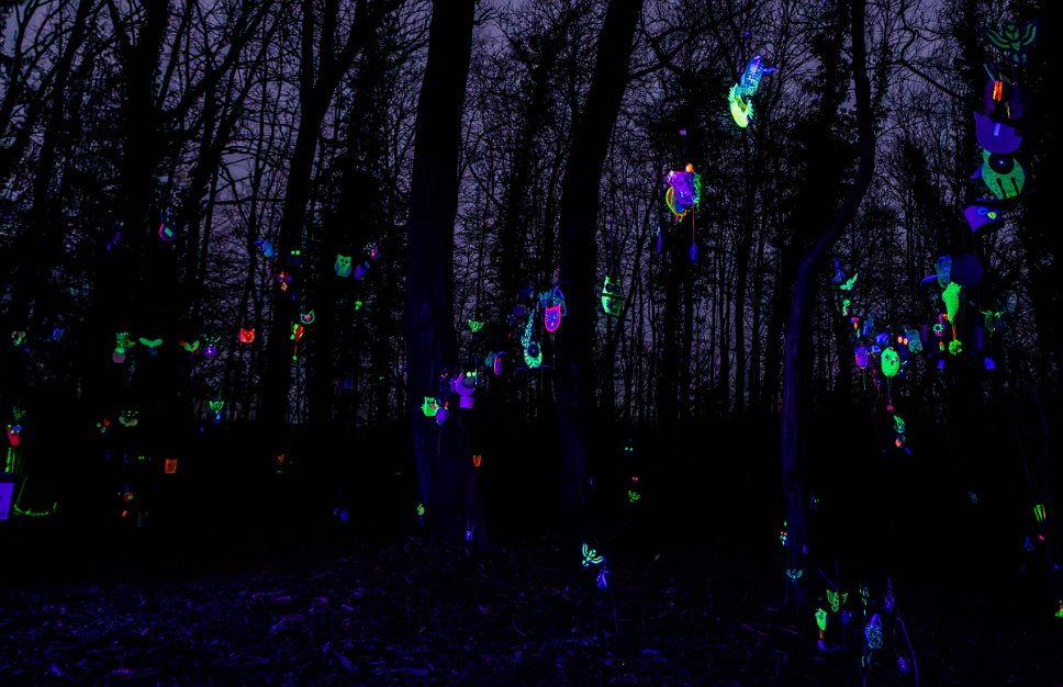 Estavayer-le-Lac, Broye Luminis