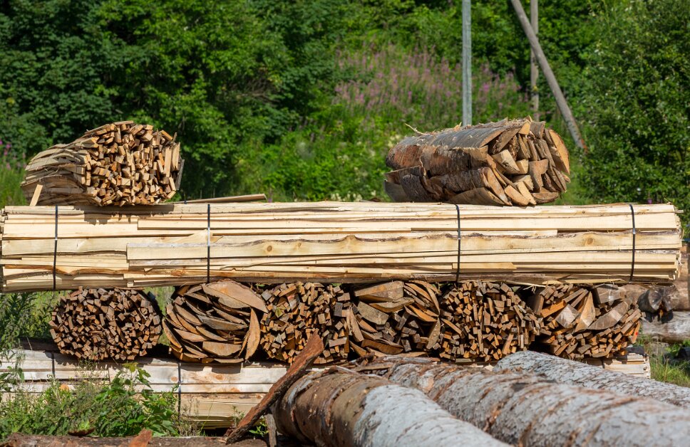 Saignelégier, Étang de la Gruère