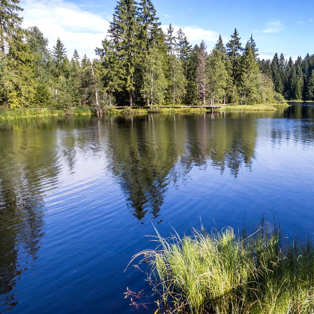 Saignelégier, Étang de la Gruère