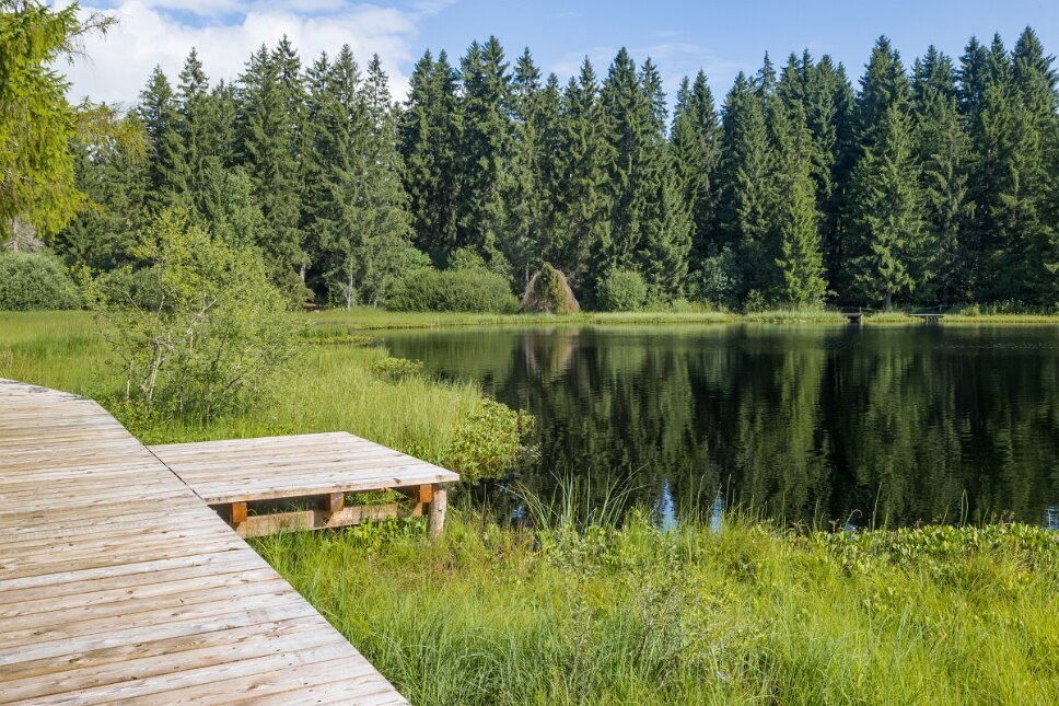 Saignelégier, Étang de la Gruère