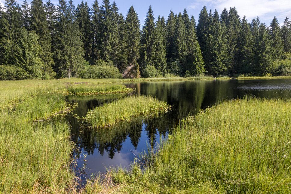 Saignelégier, Étang de la Gruère