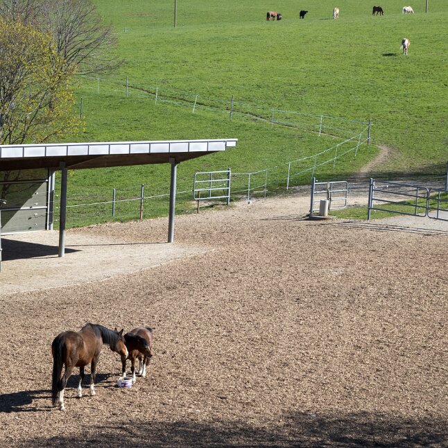 Fondation pour le cheval Le Roselet