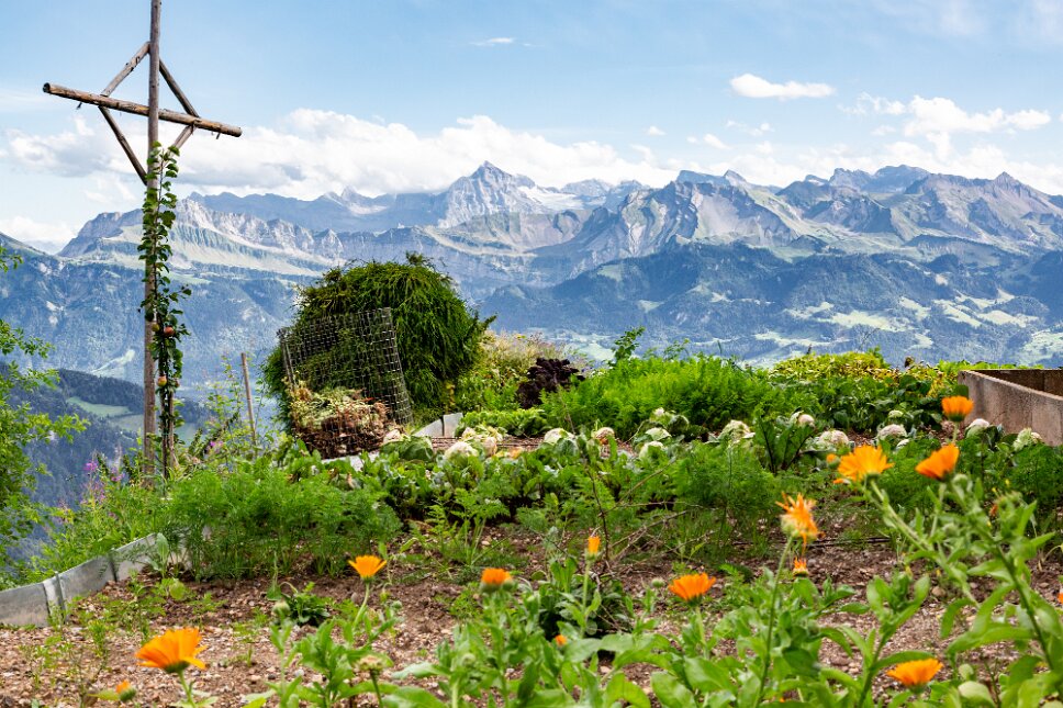 Rigi Mountain, south view
