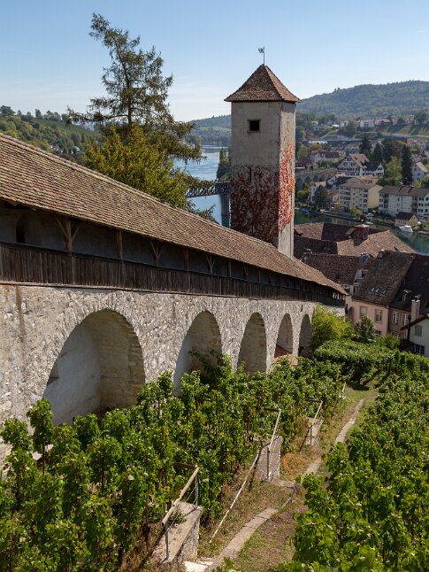 Schaffhausen, Munot